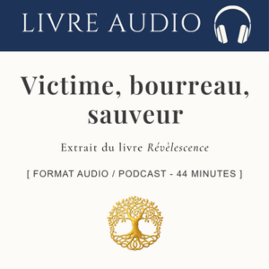 Victime, bourreau, Sauveur : la mécanique invisible des failles narcissiques _ Livre Audio / Podcast 43 min
