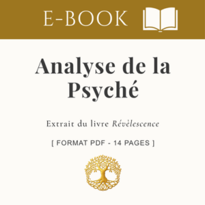 Analyse de la Psyché : Naissance de la conscience individuelle _ E-Book 14 pages