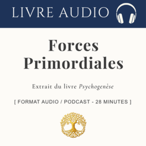 Les Forces Primordiales : Mythes fondateurs et trame psychogénétique du Masculin et du Féminin_ Audio 28 min
