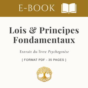 Lois & Principes Fondamentaux : L'ordre du Réel _ E-Book 35 pages