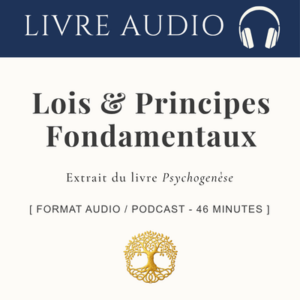 Lois & Principes Fondamentaux : L'ordre du Réel _Audio 46 min